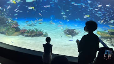 サンシャイン水族館に投稿された画像（2023/8/23）