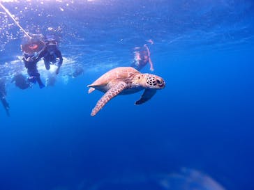 calm石垣島に投稿された画像（2023/8/23）