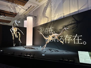 DinoScience 恐竜科学博 2023@TOKYO MIDTOWNに投稿された画像（2023/8/24）
