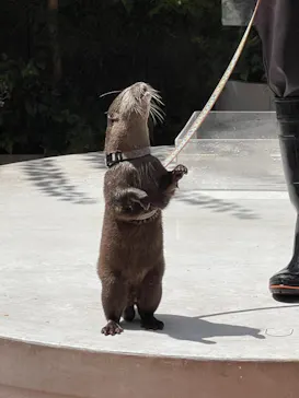 マクセル アクアパーク品川に投稿された画像（2023/8/24）