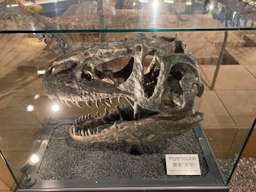 福井県立恐竜博物館に投稿された画像（2023/8/24）