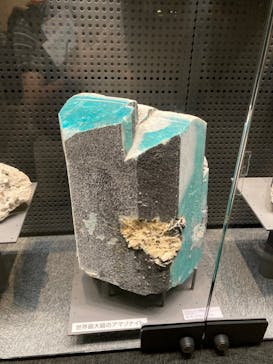 福井県立恐竜博物館に投稿された画像（2023/8/24）