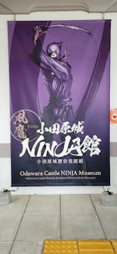 小田原城に投稿された画像（2023/8/24）