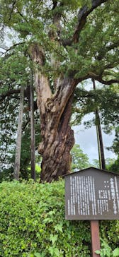 小田原城に投稿された画像（2023/8/24）