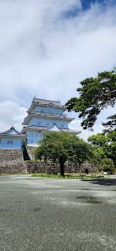 小田原城に投稿された画像（2023/8/24）