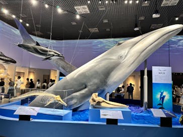 特別展「海　―生命のみなもと―」（国立科学博物館）に投稿された画像（2023/8/24）