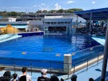 越前松島水族館に投稿された画像（2023/8/22）