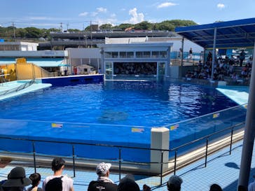 越前松島水族館に投稿された画像（2023/8/22）