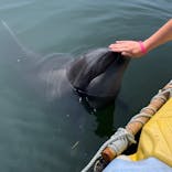 日間賀島ドルフィンビーチに投稿された画像（2023/8/24）