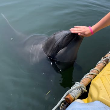 日間賀島ドルフィンビーチに投稿された画像（2023/8/24）