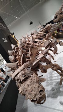 大阪市立自然史博物館に投稿された画像（2023/8/24）