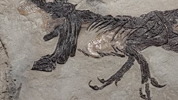 大阪市立自然史博物館に投稿された画像（2023/8/24）