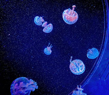 AOAO SAPPOROに投稿された画像（2023/8/24）