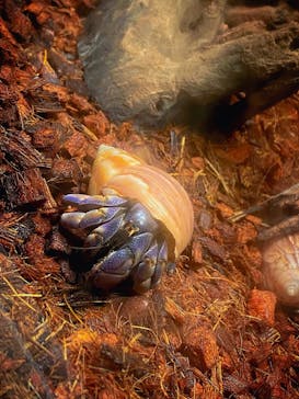 AOAO SAPPOROに投稿された画像（2023/8/24）