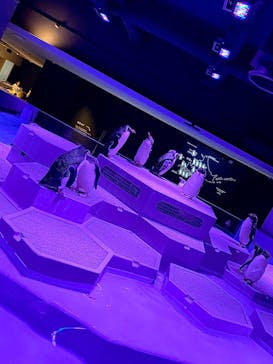 AOAO SAPPOROに投稿された画像（2023/8/24）