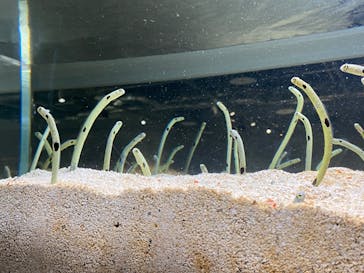 AOAO SAPPOROに投稿された画像（2023/8/24）