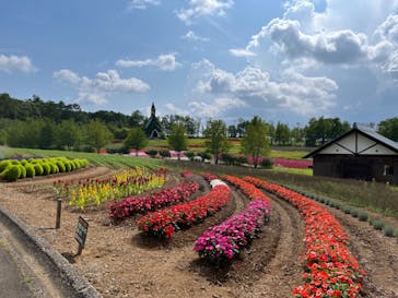 牧歌の里に投稿された画像（2023/8/24）