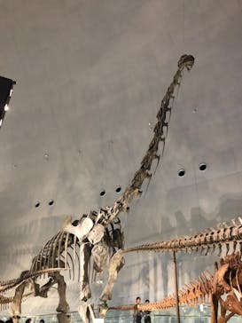 福井県立恐竜博物館に投稿された画像（2023/8/24）