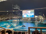 名古屋港水族館に投稿された画像（2023/8/24）