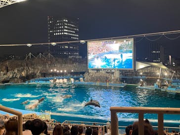 名古屋港水族館に投稿された画像（2023/8/24）