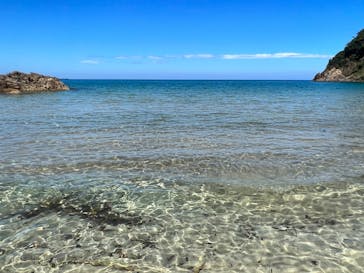 Develop SURF＆SEA（ディベロップ サーフ＆シー）に投稿された画像（2023/8/24）