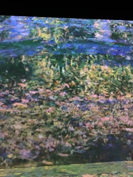 Immersive Museum OSAKA 2025に投稿された画像（2023/8/24）