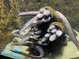 仙台うみの杜水族館に投稿された画像（2023/8/24）