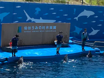 仙台うみの杜水族館に投稿された画像（2023/8/24）