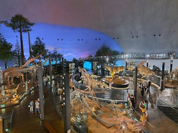 福井県立恐竜博物館に投稿された画像（2023/8/24）