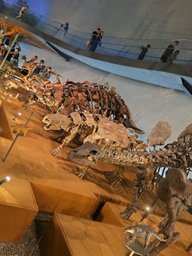 福井県立恐竜博物館に投稿された画像（2023/8/24）