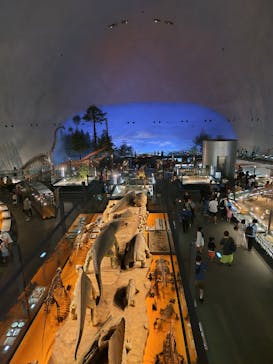 福井県立恐竜博物館に投稿された画像（2023/8/24）