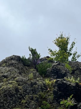 鬼押出し園に投稿された画像（2023/8/24）