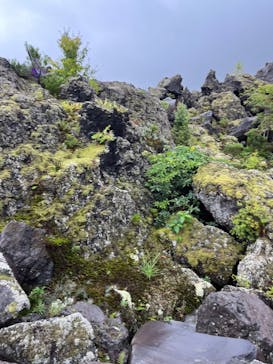 鬼押出し園に投稿された画像（2023/8/24）