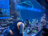 サンシャイン水族館に投稿された画像（2023/8/24）