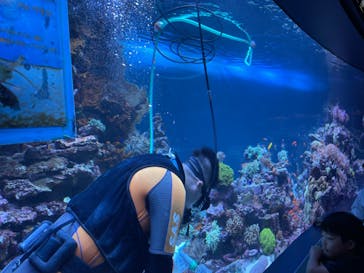 サンシャイン水族館に投稿された画像（2023/8/24）