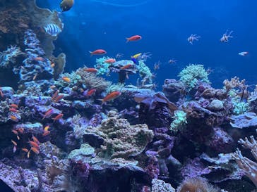 サンシャイン水族館に投稿された画像（2023/8/24）