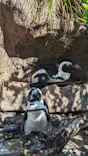 サンシャイン水族館に投稿された画像（2023/8/24）