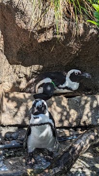 サンシャイン水族館に投稿された画像（2023/8/24）