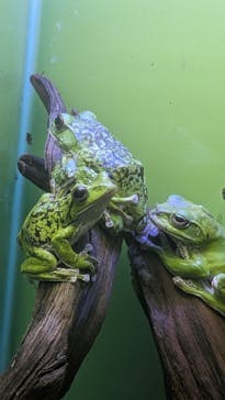 サンシャイン水族館に投稿された画像（2023/8/24）