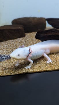 サンシャイン水族館に投稿された画像（2023/8/24）