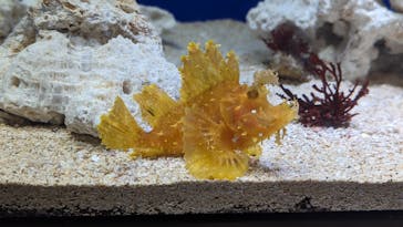 サンシャイン水族館に投稿された画像（2023/8/24）