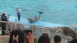 名古屋港水族館に投稿された画像（2023/8/24）