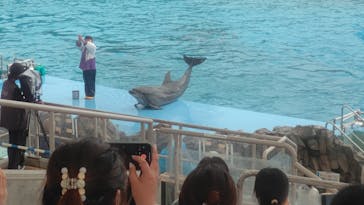 名古屋港水族館に投稿された画像（2023/8/24）