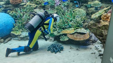 名古屋港水族館に投稿された画像（2023/8/24）