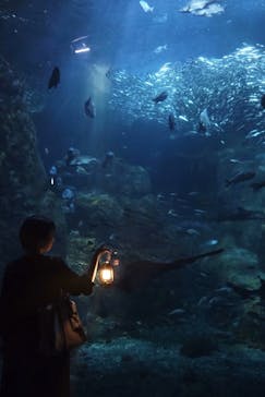 新江ノ島水族館に投稿された画像（2023/8/24）