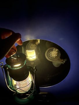 新江ノ島水族館に投稿された画像（2023/8/24）