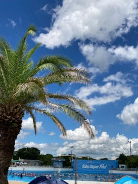 東武動物公園に投稿された画像（2023/8/24）