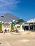 沖縄美ら海水族館に投稿された画像（2023/8/24）