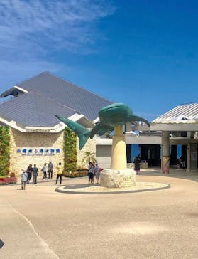 沖縄美ら海水族館に投稿された画像（2023/8/24）