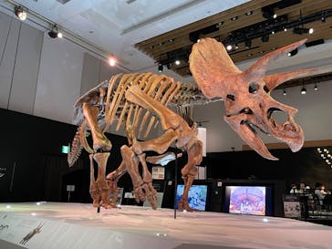 DinoScience 恐竜科学博 2023@TOKYO MIDTOWNに投稿された画像（2023/8/24）